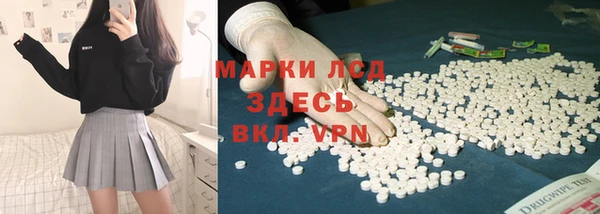 стаф Карпинск