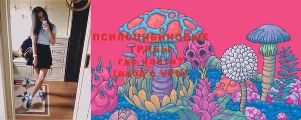 ECSTASY Карталы