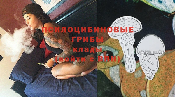 прущие крисы Каменногорск
