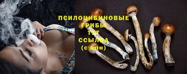MDMA Premium VHQ Касимов