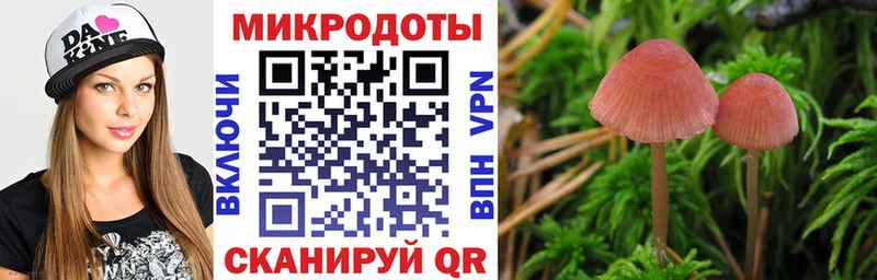 Псилоцибиновые грибы мухоморы  блэк спрут сайт  Красноперекопск  цены  